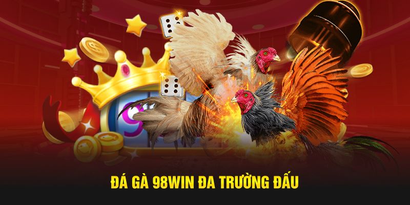 Đá gà 98WIN đa trường đấu