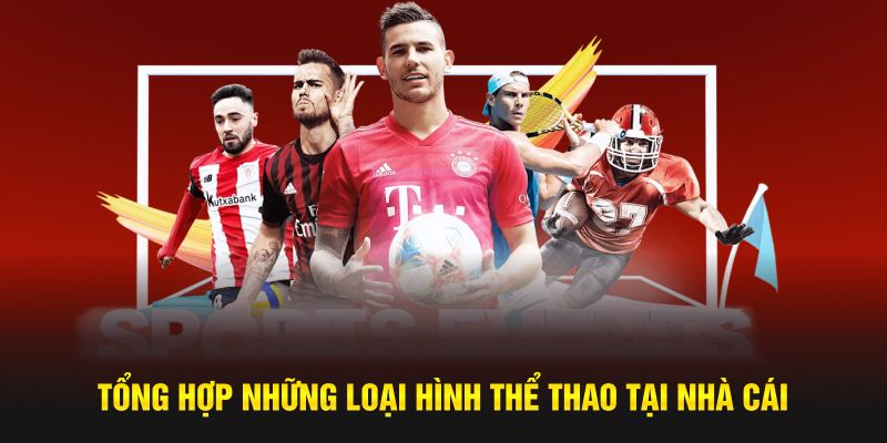 Tổng hợp những loại hình thể thao tại nhà cái